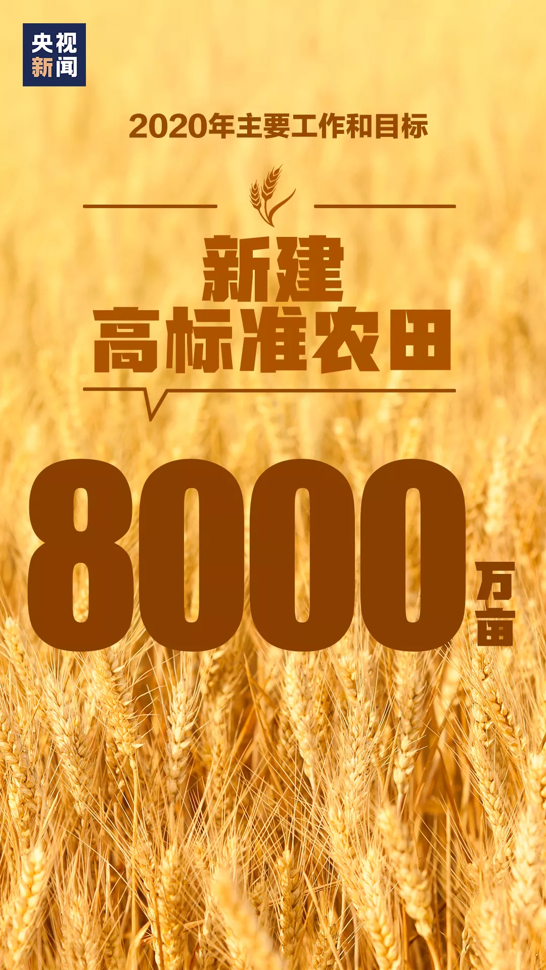 新建高標準農田8000萬(wàn)畝