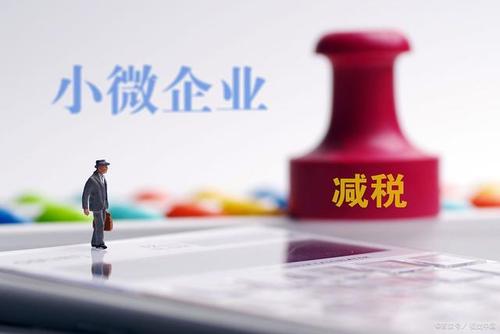 至年底，山東免除個(gè)體工商戶(hù)和小微企業(yè)免一切稅費